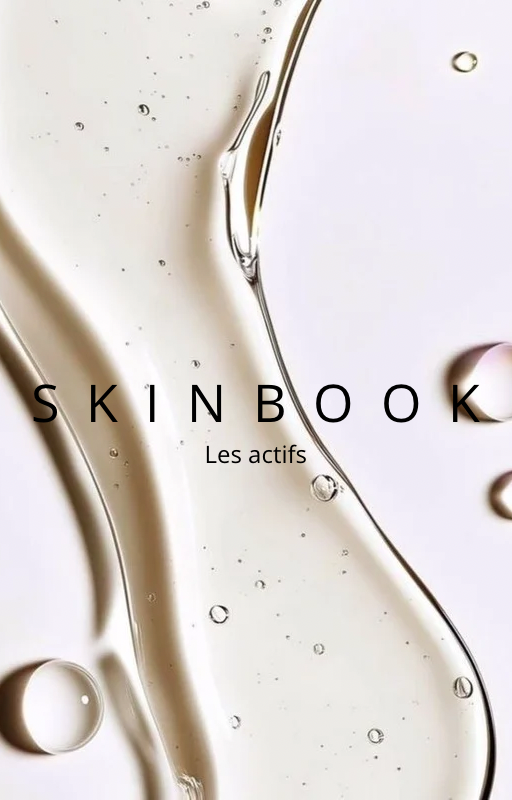 SKINBOOK: les actifs (FR)